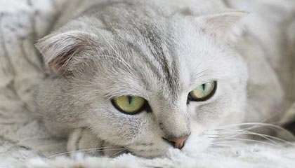 PG游戏官网登录入口——畅享极致游戏体验